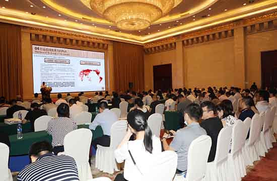 166270756646 166270756646