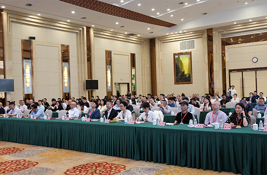 171446965664 171446965664